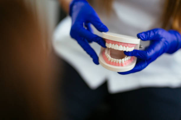 Best Traditional Braces  in Peaceful Valley, WA