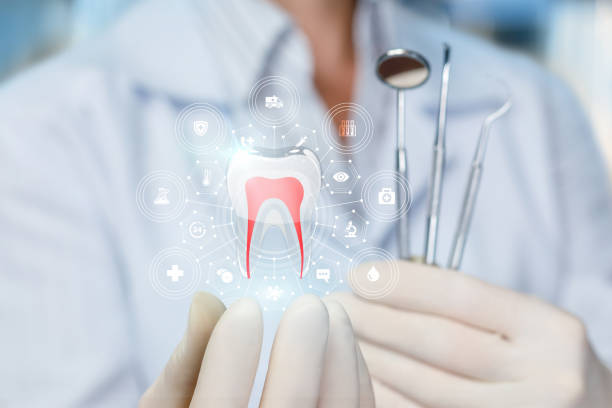 Best Pediatric Dentistry  in Peaceful Valley, WA